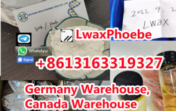 Europe white Bmk powder 5449-12-7 high extraction