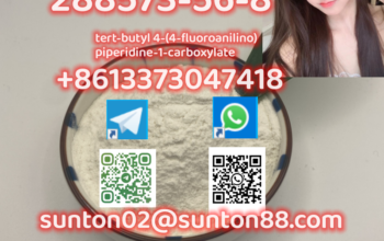 288573-56-8 tert-butyl 4-(4-fluoroanilino)piperidi