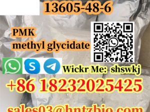 13605-48-6 PMK methyl glycidate