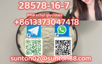 28578-16-7 PMK ethyl glycidate