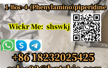 125541-22-2 1-Boc-4-(Phenylamino)piperidine