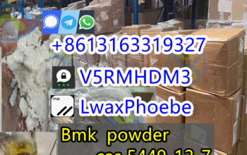Germany Stock for bmk glycidate 5449-12-7/16648-4