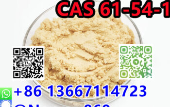 CAS 61-54-1 Tryptamine 86 13667114723 |