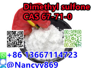 86 13667114723 CAS 67-71-0 best price MSM