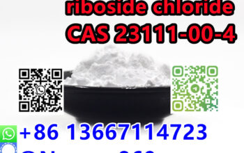 86 13667114723 |23111-00-4 CAS