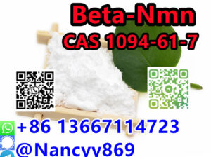 86 13667114723 |CAS 1094-61-7 Beta-Nmn