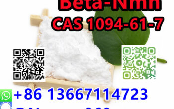 86 13667114723 |CAS 1094-61-7 Beta-Nmn