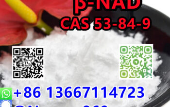 86 13667114723 |CAS 53-84-9 NAD