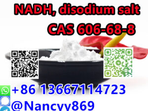 High Quality CAS 606-68-8 NADH | +8613667114723