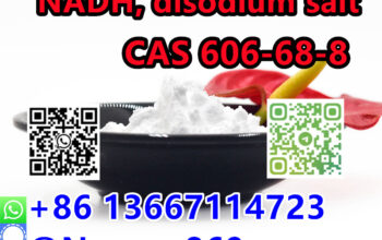 High Quality CAS 606-68-8 NADH | +8613667114723