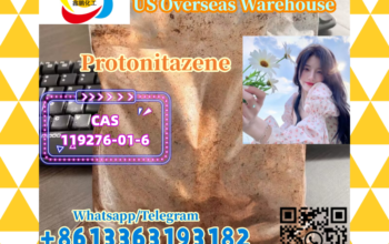 Protonitazene CAS 119276-01-6 :+8613363193182