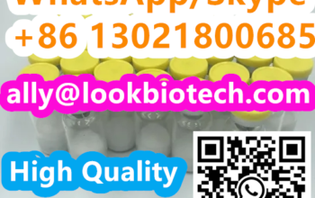 cas910463-68-2 Semaglutide