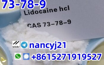 Lidocaine hydrochloride 73-78-9 purity telegram