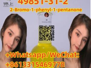 factory Outlet 49851-31-2 2-Bromo-1-phenyl-1-penta
