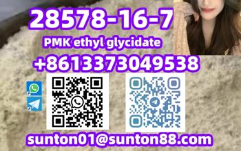 28578-16-7 PMK ethyl glycidate