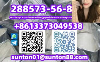 288573-56-8 tert-butyl 4-(4-fluoroanilino)piperidi