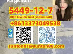 5449-12-7 BMK Glycidic Acid (sodiu