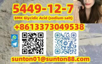 5449-12-7 BMK Glycidic Acid (sodiu