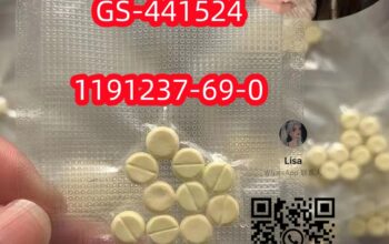 GS-441524 cas1191237-69-0 Hot Selling