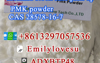 PMK ethyl glycidate PMK Powder CAS 28578-16-7/1360