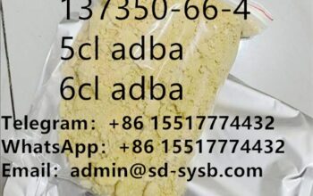 CAS 137350-66-4 Europe warehouse
