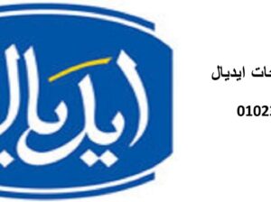 صيانة اعطال ثلاجات ايديال مركز بدر 01095999314