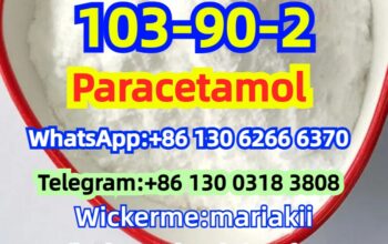 CAS.103-90-2 Paracetamol