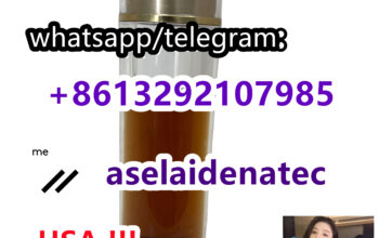 CAS 20320-59-6 BMK Oil BMK Liquid 28578-16-7