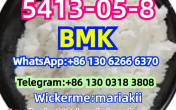 CAS.5413-05-8,Ethyl 3-oxo-4-phenylbutanoate