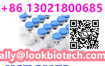 cas910463-68-2 Semaglutide
