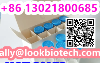 cas910463-68-2 Semaglutide