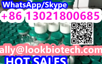 cas2023788-19-2 Tirzepatide