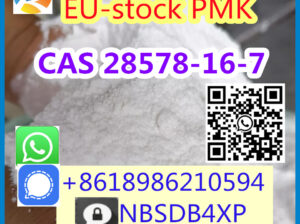 High Purity CAS 28578-16-7 PMK Powder/Oil
