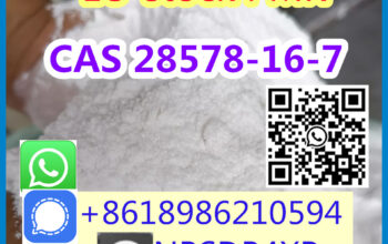 High Purity CAS 28578-16-7 PMK Powder/Oil