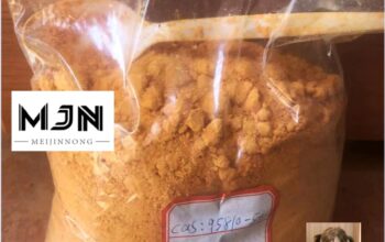 Butonitazene 95810-54-1