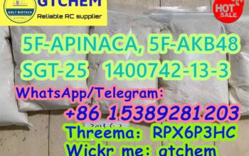 Noids 5F-CUMYL-PINACA,SGT-25 CAS:1400742-16-6 8951
