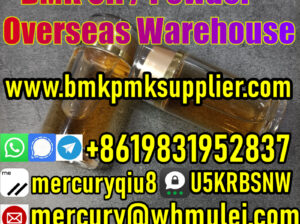 Factory price BMK Powder PMK Powder BMK OIL PMK OI