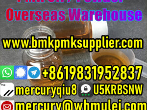 Fast and Safe Shipping BMK Powder PMK Powder BMK O