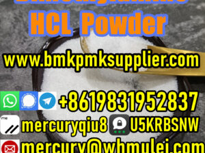 Factory direct supply Dimethocaine base / Dimethoc