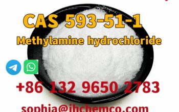 CAS 593-51-1 Methylamine hydrochloride