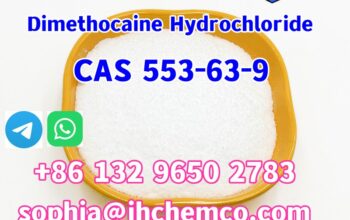 CAS 553-63-9 Dimethocaine Hydrochloride