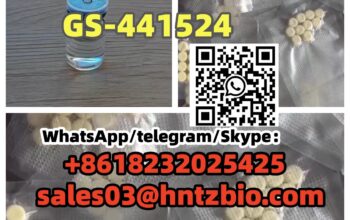 1191237-69-0 GS-441524