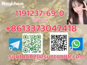 1191237-69-0 GS-441524