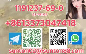 1191237-69-0 GS-441524