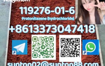 119276-01-6 Protonitazene (hydrochloride)