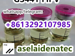 gs441 fipv whatsapp:+8613292107985