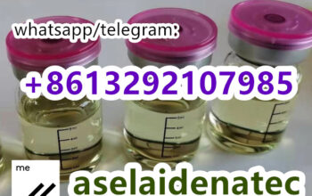 gs441 fipv whatsapp:+8613292107985