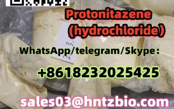 119276-01-6 Protonitazene (hydrochloride）