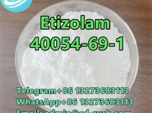 40054-69-1 Etizolam Top quality D1