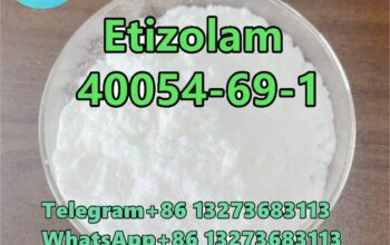 40054-69-1 Etizolam Top quality D1
